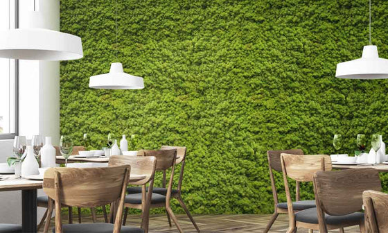 My Mossaic: Moss wall restaurant interior