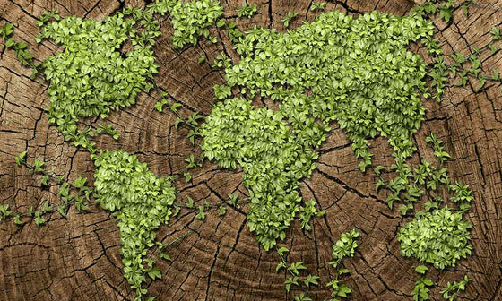 My Mossaic: Eco-friendly world map with green plants